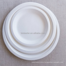 Biodegradable Disposable Sugarcane Bagasse 6,7,8,9,10 Inch Pulp Molding Catering Dishes